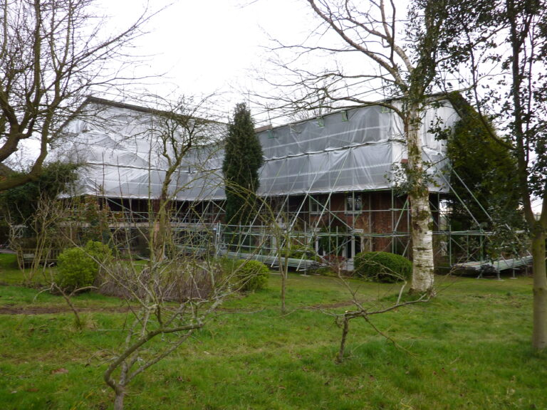 Case Study Gallery Image